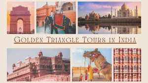 Book Best Tour Package with Top Trip Planner in India