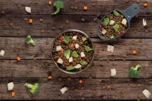 Exploring the Dominant Region of the Europe Pet Food Ingredients Market