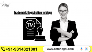 Trademark Registration in Moga