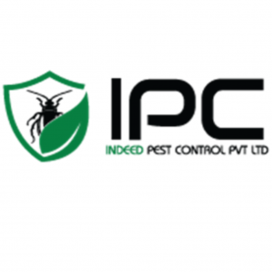 Best pest control service in india