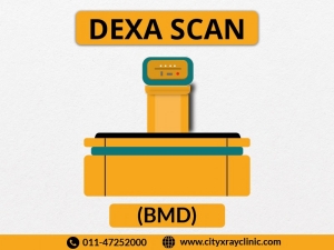 DEXA Scan Price: Understanding the Cost and Value of Bone Density Testing