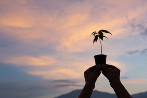 LIFE – ORIGIN, MEANING & PURPOSE