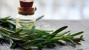 How to Use Rosemary Oil for Hair Growth: Tips for Users in Pakistan: