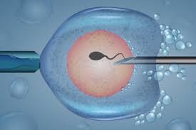 Best IVF Treatment in Coimbatore: A Guide to Expert Care & High Success Rates