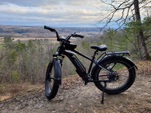 Are Fat Tire E-Bikes Good For Mountain Biking?