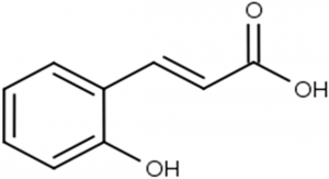 The Fascinating Properties of Cinnamic Acid