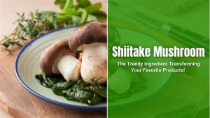 How Shiitake Mushroom Powder is Changing the Food Industry!