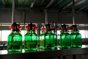 Aloe Vera Gel Manufacturing Plant Project Report 2025: Setup Cost, Machinery Requirements and Raw Materials