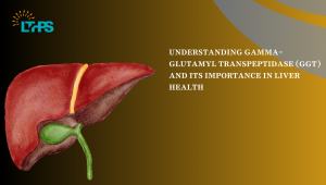 Understanding Gamma-Glutamyl Transpeptidase (GGT) and Its Importance in Liver Health
