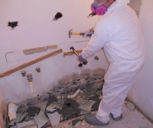 Mold Damage in Fort Myers 