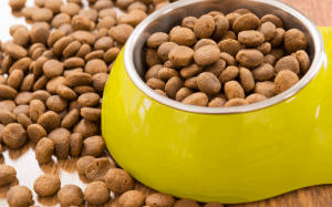 North America Pet Food Ingredients Market: Analyzing the Dominant Region