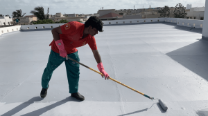 Waterproofing Services by Alive Ventures