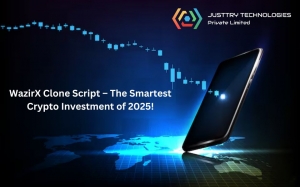 Why a WazirX Clone Script is the Best Investment in 2025