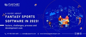 A guide about Fantasy Sports Software in 2023: Factors, Challenges, Process and Development Cost!