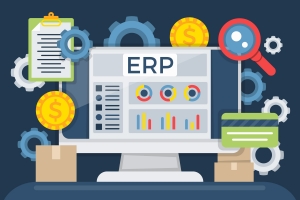 Why Your Business Needs Custom ERP Software for Scalability 