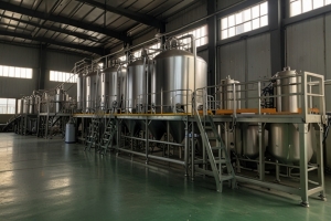 Biodegradable Adhesive Manufacturing Plant Project Report 2025: Industry Trends and Unit Setup