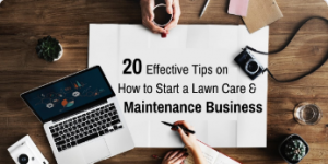 20 Effective Tips on How to Start a Lawn Care & Maintenance Business