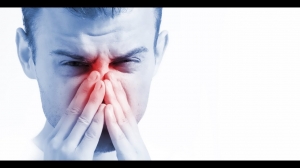 Seasonal Allergic Rhinitis Market to Witness Significant Growth owing to Rising Prevalence of Pollen Allergies