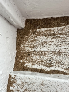 How to Get Rid of Termites: Expert Solutions from Bull Run Turf & Pest Control