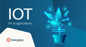 IoT: Soluciones Inteligentes para los Retos de los Agricultores