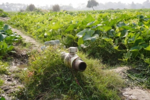 What are the latest innovations in Mechanized Irrigation Systems technology?
