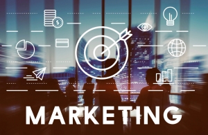 Best Digital Marketing Agency in India and Top Web Designing Services in India