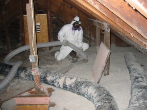 The Perks Of Hiring A Professional For Domestic Asbestos Removal