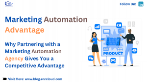 Why Your Business Needs a Marketing Automation Agency ?