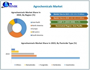 Agrochemicals Market Size, Market Dynamics and Growth Forecast 2024-2030