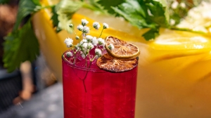 How Premium Herbs Enhance the Taste of Botanical Drinks