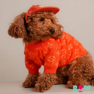 Make Every Occasion Special with Stylish Dog Clothes