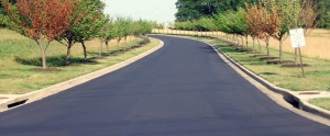 Enhancing Curb Appeal Comprehensive Guide to Driveway Paving Contractors