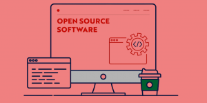 The Advantages of Open Source Software (OSS) Development