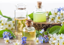 The Role of Essential Oils in Natural Perfumery