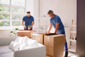 Insta Move Cargo: The Trusted Moving Packers for a Seamless Relocation