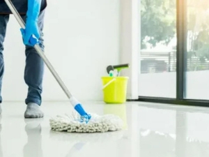 BusyBee Cleaning Company: Your Trusted Cleaning Company in Schaumburg IL