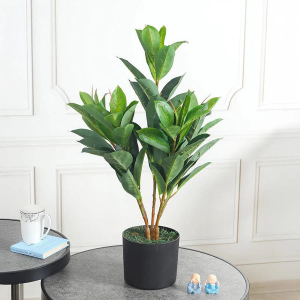 Right Artificial Plants for Every Room in Your Home