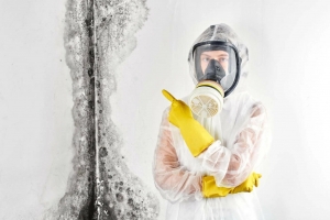 Emergency Mold Remediation in Indio: Fast, Reliable, and Affordable Services