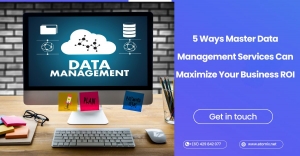 5 Ways Master Data Management Services Can Maximize Your Business ROI