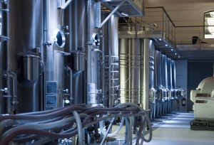 Promotes Industrial Excellence: Rice Hydro Equipment Versatility and Reliability
