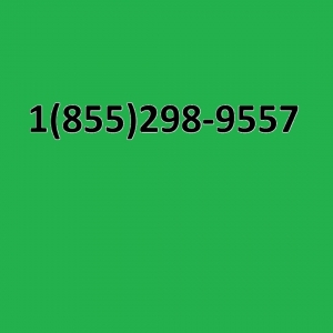 How to Get Refund on Cash App If Sent Money to the Wrong Person?