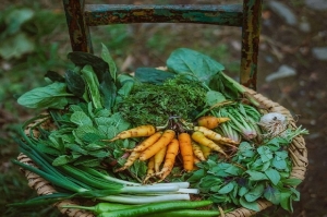 What to Plant Now for an Abundant Spring Harvest