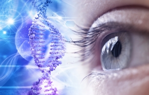 Gene Therapy in Ophthalmology Market will grow at highest pace owing to rising  prevalence of ophthalmic diseases 