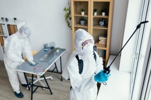 Effective Pest Control Services Ensuring a Pest Free Environment