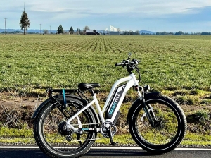 Can A Full Suspension Electric Bike Handle All Terrain?