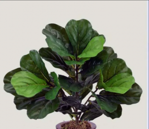 Butterfly Plants and Beyond: A Guide to Natural and Artificial Greenery