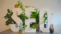 Top 7 Reasons To Hire Seo Agency Services For Your Business Or Brands 