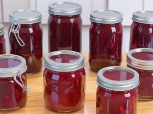 Jam Manufacturing Plant Project Report 2025: Machinery and Raw Materials