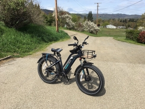 Magicycle Electric Bicycles Have Changed The Travel Life Of More And More Women