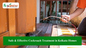 Safe & Effective Cockroach Treatment in Kolkata Homes